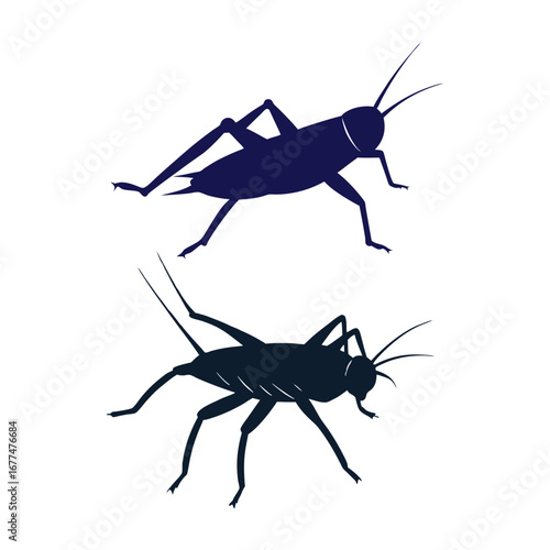 cockroach free illustration