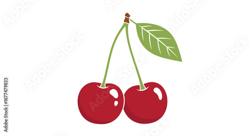 Vibrant red cherries on a white background with a single green leaf delicate stems connect the juicy fruit to a sturdy branch