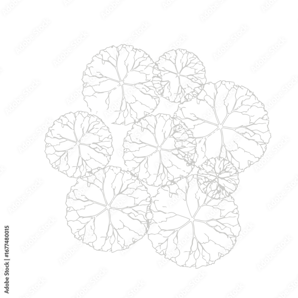Fototapeta premium Set of 7 minimalist leaf illustrations vector