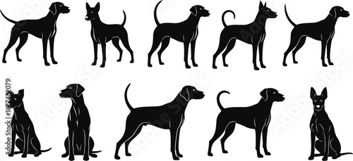 Black dog silhouette vector collection showing various breeds and poses for pet, animal, canine, and domestic dog design illustration projects