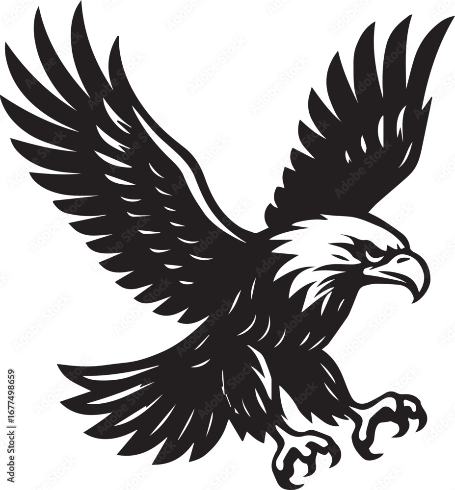 Obraz premium eagle black and white