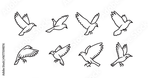 Birds flying line art icon bundle illustration