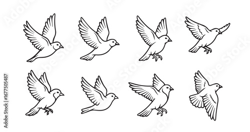 Birds flying line art icon bundle illustration