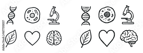 Science Sketch Icons