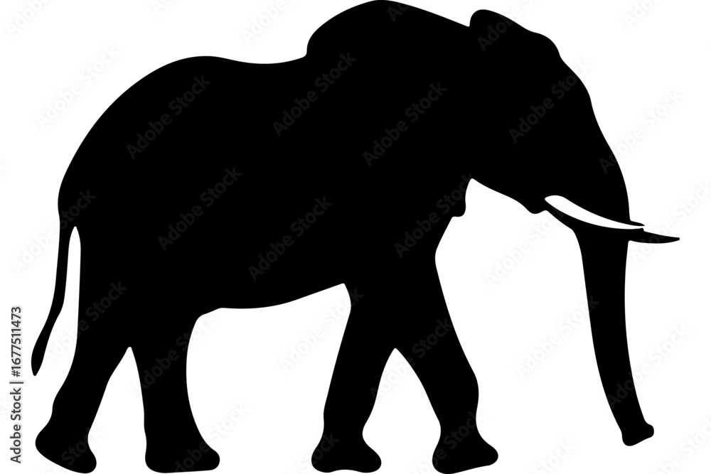 Obraz premium Majestic Elephant Line Art, Minimalist Elephant Illustration, Elegant Elephant Head Drawing