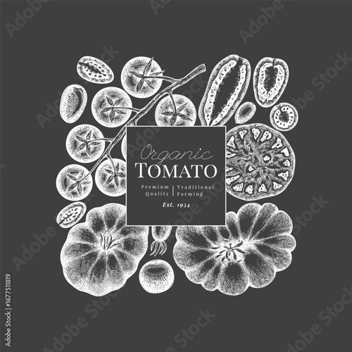 Hand Drawn Chalk Board Tomato Illustration. Retro Vegetable Vector Design Template. Old School Farm Food.
