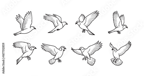 Birds flying line art icon bundle illustration
