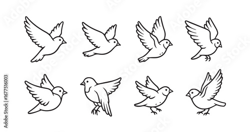 Birds flying line art icon bundle illustration