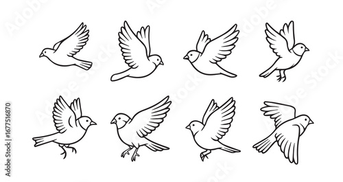 Birds flying line art icon bundle illustration