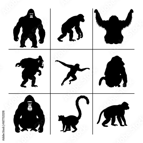 Silhouettes of various primates including gorillas monkeys and lemurs arranged in a nine panel grid format