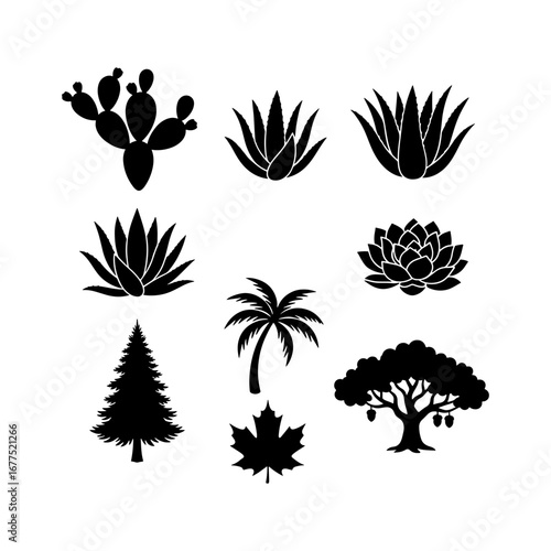 Collection of diverse botanical silhouettes featuring cactus aloe palm and maple tree elements design