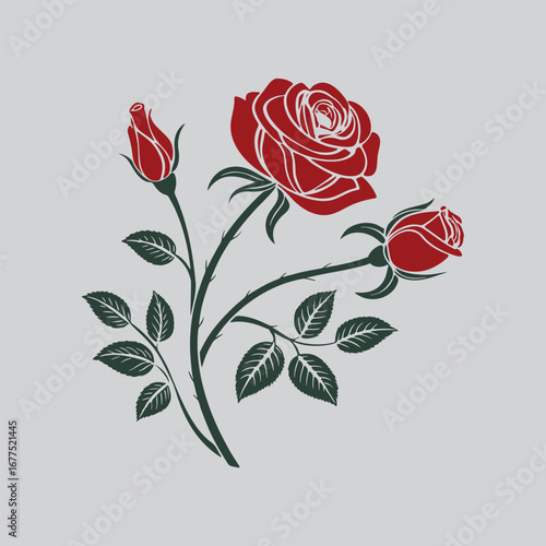 Elegant Rose Flower Color Ink Drawing