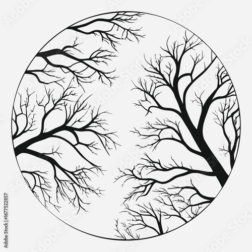 Bare Trees in a Circle Black and White Illustration
