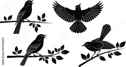 Black vector silhouettes of four birds perched and flying near leafy branches, minimal nature design showing posture, behavior, and motion
