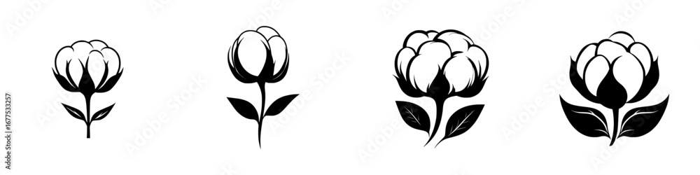 Fototapeta premium Elegant black-and-white vector illustration of minimalist cotton flower silhouettes with delicate petals and leaves