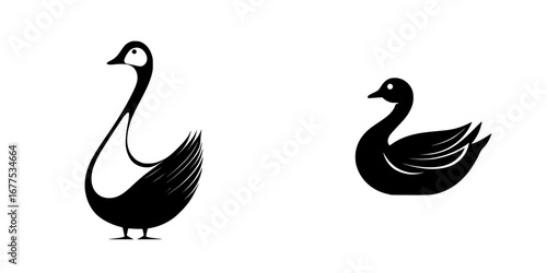Elegant black-and-white vector silhouettes of swan and duck in minimalist style showcasing their graceful forms