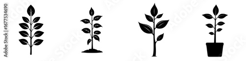 Minimalist black-and-white vector illustration of plant growth stages in silhouette form
