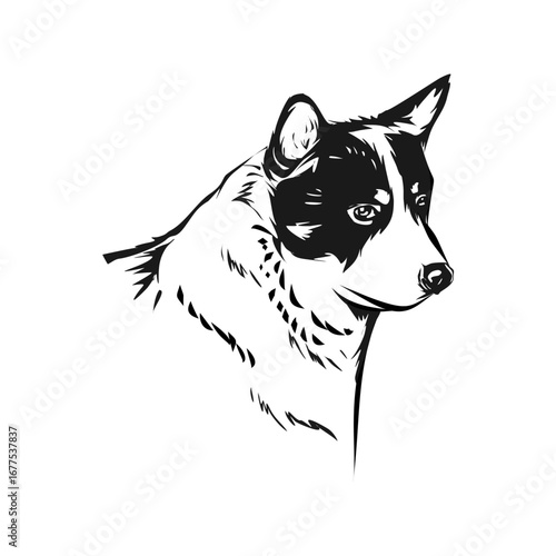 Hand-drawn vector portrait of a beautiful dog head in a black and white ink sketch style. Isolated illustration for pet logo design or veterinary