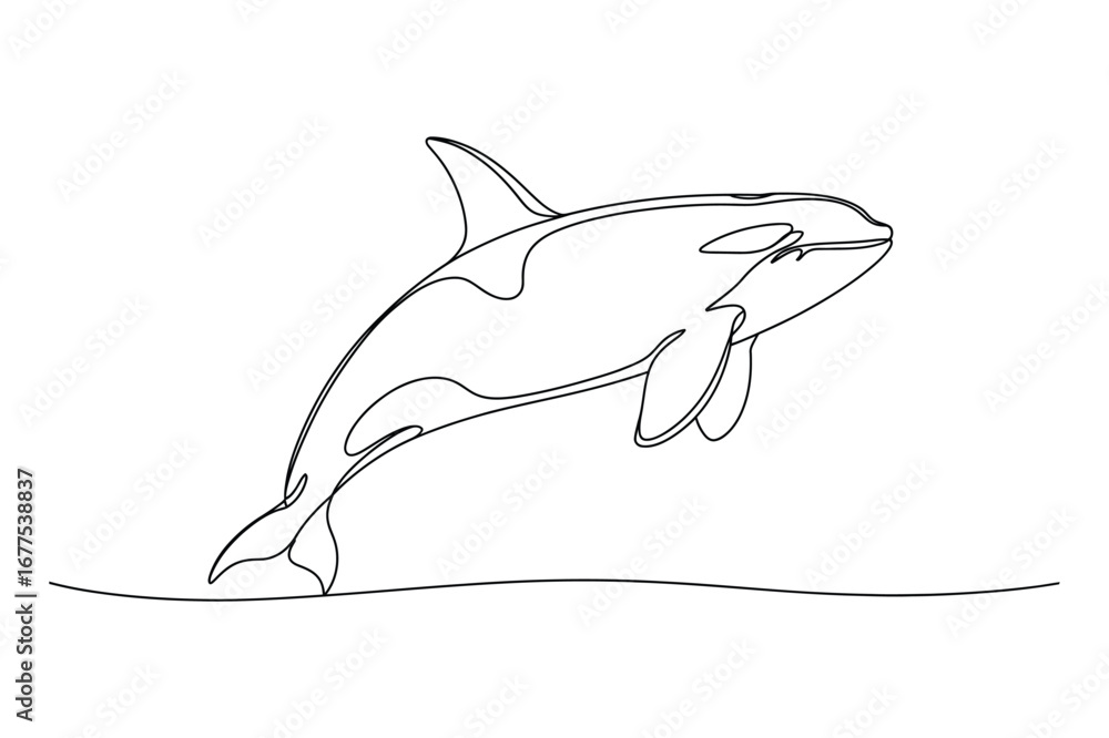 Obraz premium Continuous Line Drawing of an Orca | Vector Illustration for a Marine Animal.