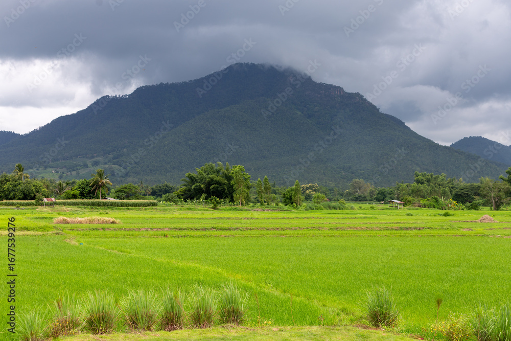 Obraz premium A beautiful summer mountain landscape with green fields and a blue sky dotted with clouds