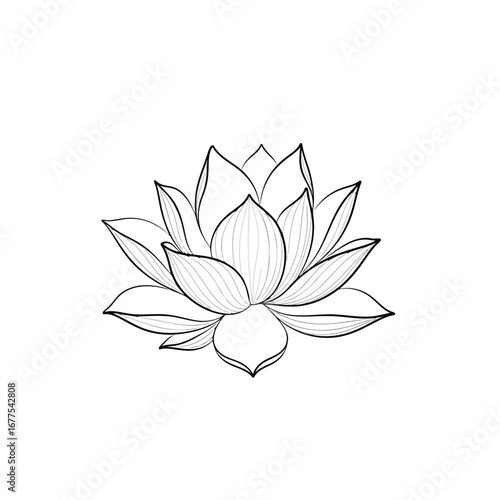Elegant black and white line art drawing of a beautiful lotus flower with detailed petals on a clean white background.