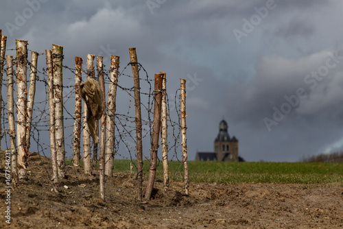 Canvas Print Reconstructed trenches and barbed wire of World War One battlefield in  Messines (Mesen), Flanders Fields, Belgium