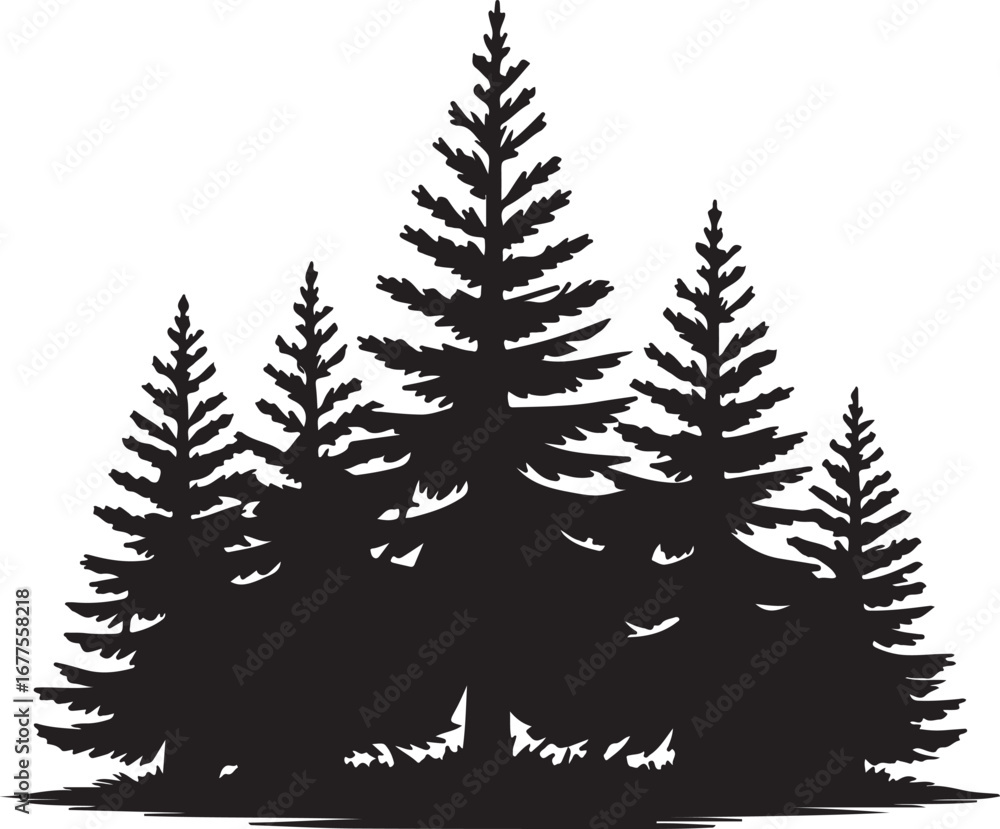 Obraz premium Silhouette of a Dense Pine Forest Against a White Background pine trees