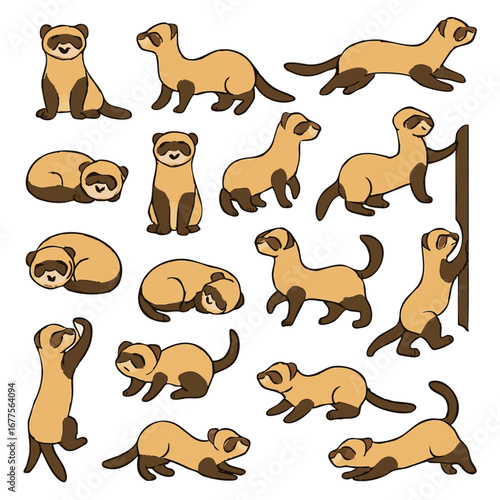 Vector Ferret Illustration Banner Set of Cute Playful Domestic Pets. 
