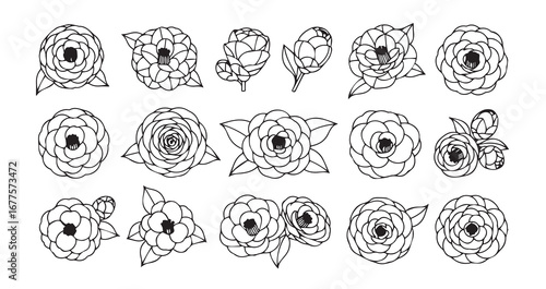 Camellia line art icon bundle illustration