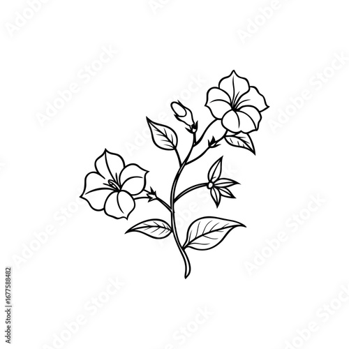 Detailed monochrome floral illustration of blooming flower branch with leaves and buds Silhouette Vector 