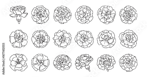 Carnation line art icon bundle illustration