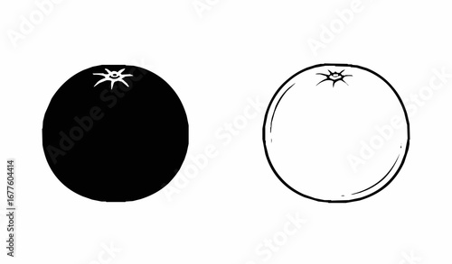 Vector Illustration of an orange
