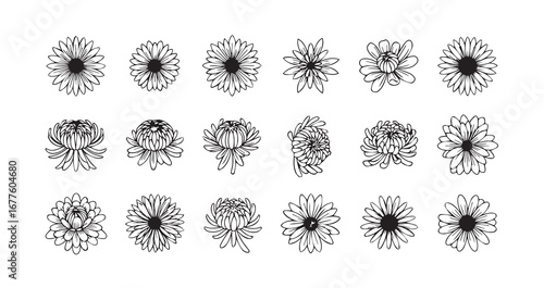Chrysanthemum line art icon bundle illustration