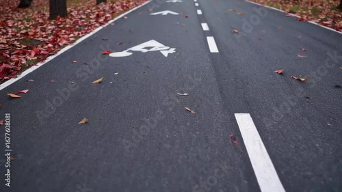 Wallpaper Mural Designated Route for Cyclists and Walkers During the Autumn Season with Directional Markings on the Pavement Torontodigital.ca