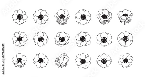 Anemone line art icon bundle illustration
