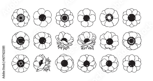 Anemone line art icon bundle illustration