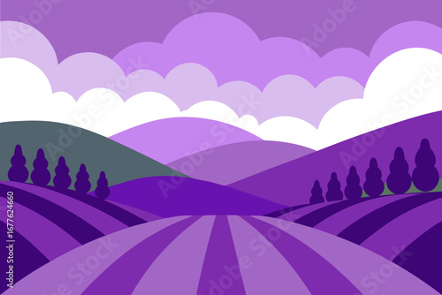 Lavender Fields