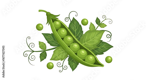 Fresh green peas inside the pod with foliage. Vibrant illustration of pea pods.