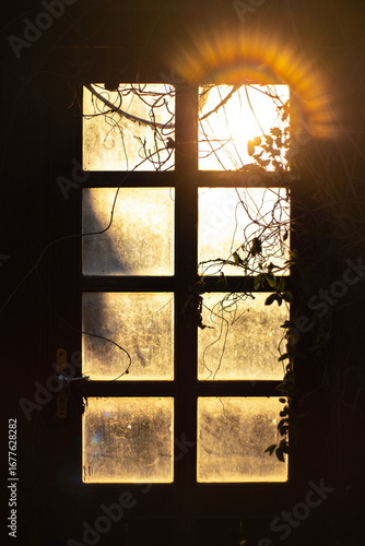 Abstract close-up of an old, weathered window at sunset. Golden sun rays create a beautiful lens flare, and dry vines cling to the frame, evoking a sense of forgotten life and nostalgia.