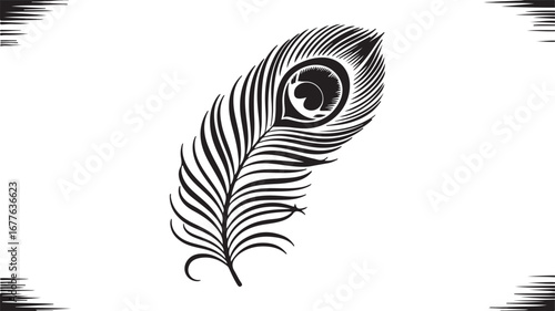 Detailed Black Silhouette of a Peacock Feather on a White Background bird plumage