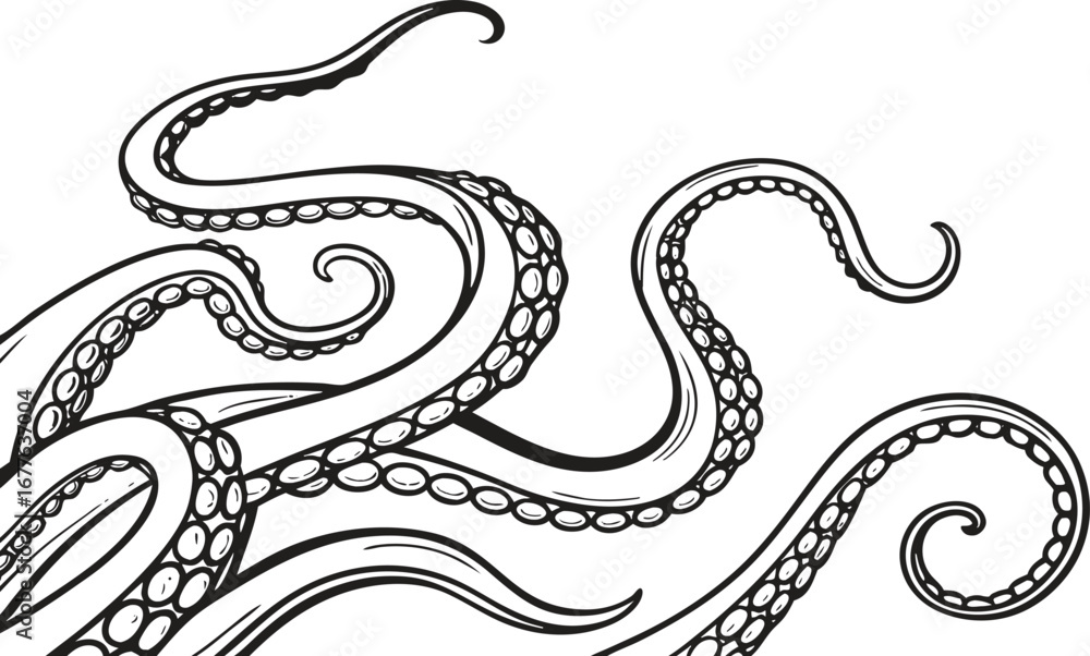 Obraz premium Whimsical tentacles of an octopus hand drawn sketch marine life sea creature deep sea ocean wildlife artistic representation of cephalopod