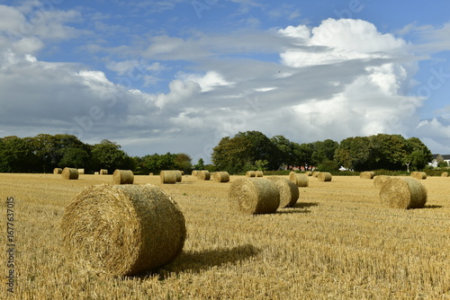 Jersey, U.K. St. Lawrence. Agricultural scene with dramatic skies at the end of Summer.