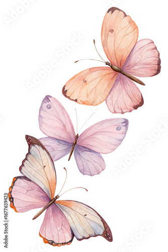 aesthetic butterfly flying isolated clipart