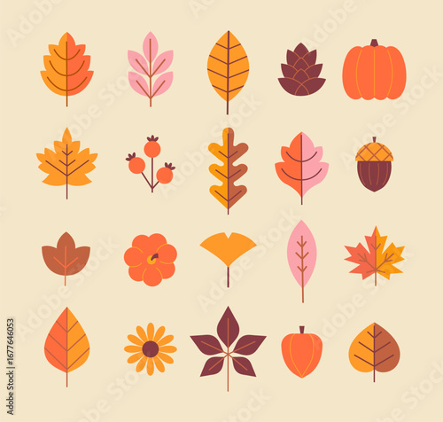 Elegant autumn isolated leaves and other symbol of season - pumpkin,apple, rowan berries, acorn, sunflower for your design. Template for harvest festival or Thanksgiving day. Vector