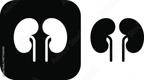 Human kidney icon