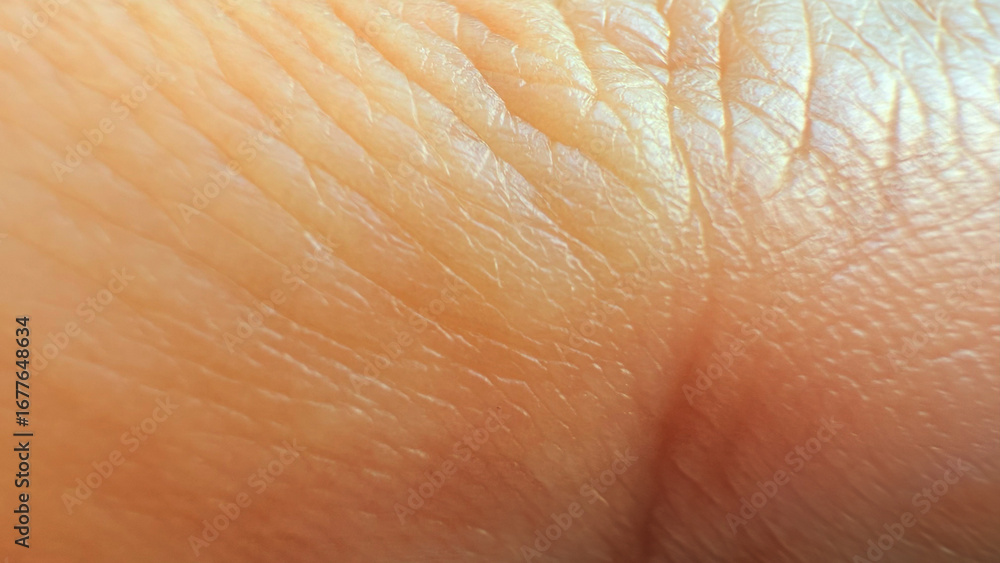 Fototapeta premium Human skin texture close-up with fine wrinkles and crease, macro detail of natural epidermis surface for background