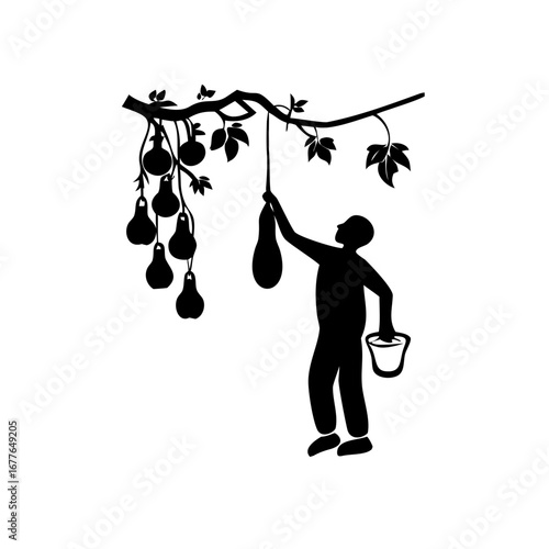 Silhouette illustration of a farmer harvesting gourds from a tree branch