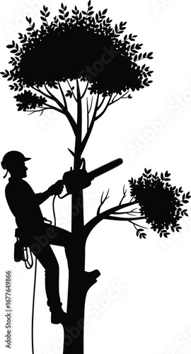Arborist cutting tree branches with chainsaw, professional tree trimming, tree worker silhouette, forest maintenance, safety gear, climbing, pruning work