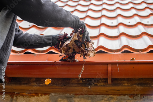 Bild auf Leinwand A man wearing gloves clears a roof gutter, removing fallen leaves to prevent a c