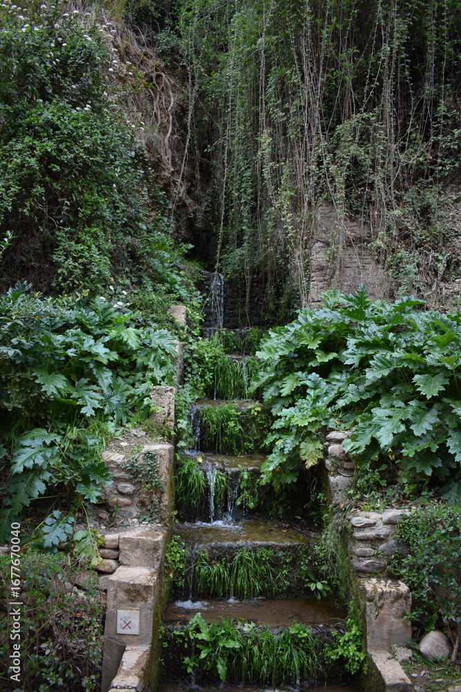 Obraz premium stairway to the forest